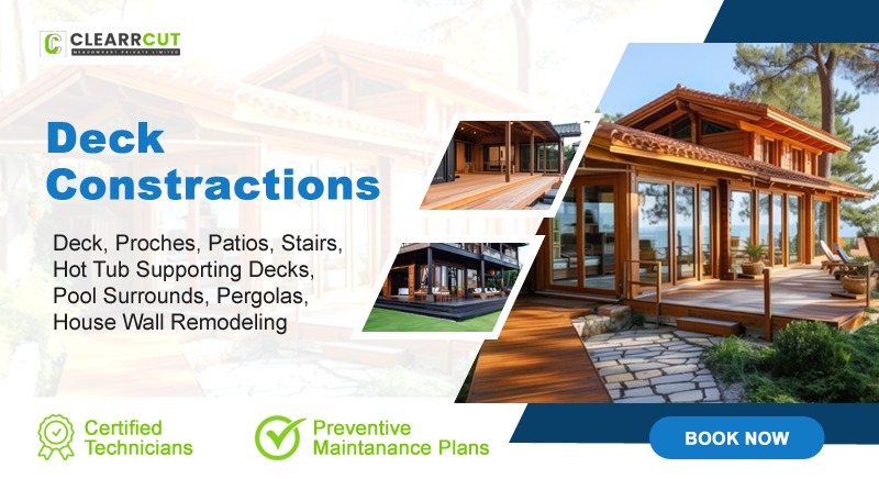 5 Reasons to Hire a Professional for Your Haircut