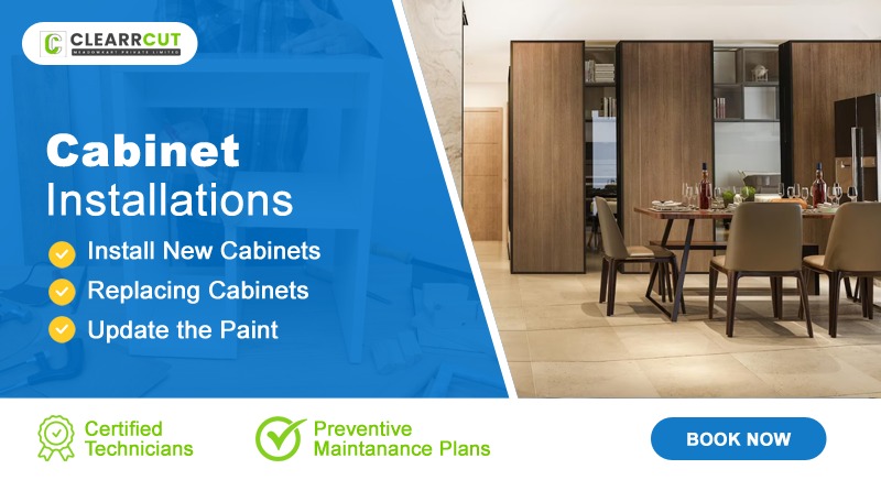 Expert Tips for Maintaining a Clean and Healthy Home